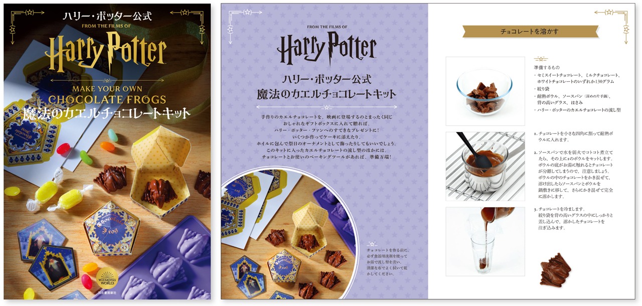 「ハリー・ポッター公式 魔法のカエルチョコレートキット」レシピブックのイメージ