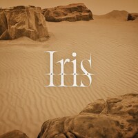 BUDDiiSによる主題歌「Iris」ジャケットビジュアル