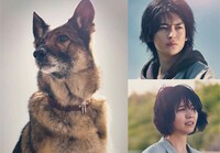 映画「少年と犬」ビジュアル (c)2025 映画「少年と犬」製作委員会