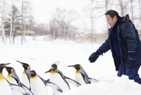 「旭山動物園物語 ペンギンが空をとぶ」場面写真 © 2009「旭山動物園物語」製作委員会