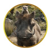 「ライオン・キング」よりティモン（上）とプンバァ