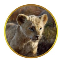 「ライオン・キング」よりナラ