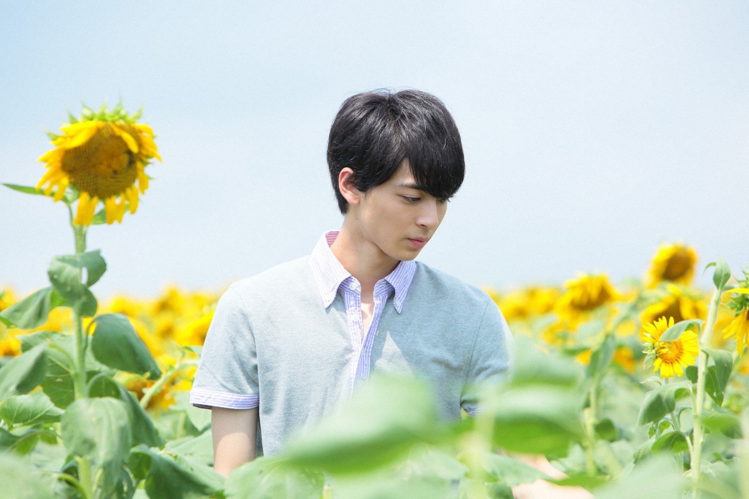 「世界でいちばん長い写真」場面写真 ©2018 映画「世界でいちばん長い写真」製作委員会