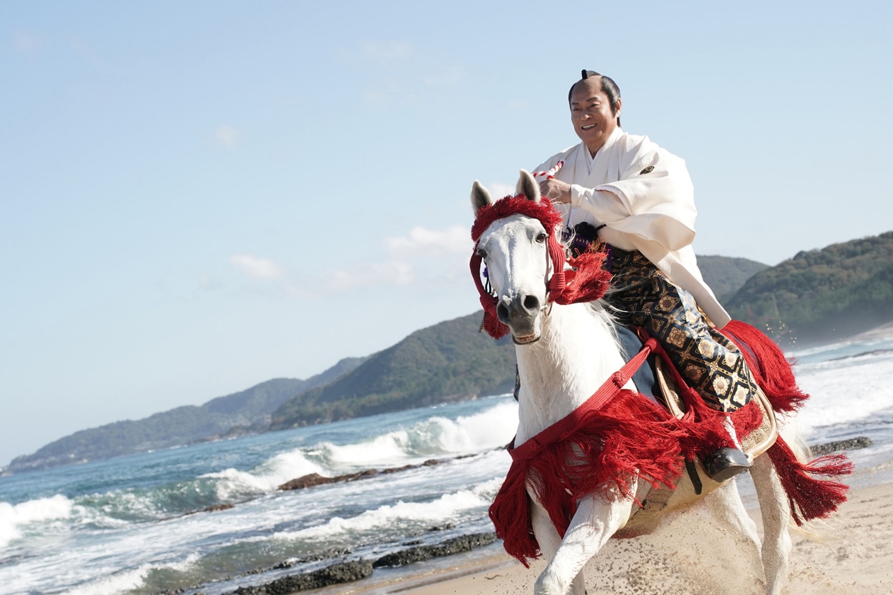 「新・暴れん坊将軍」場面写真