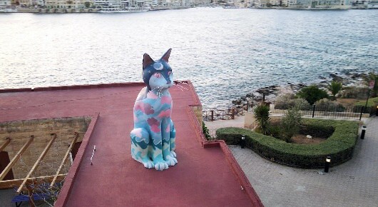 猫のどんなところが好き？ドキュメンタリー映画「ねこしま」本編映像