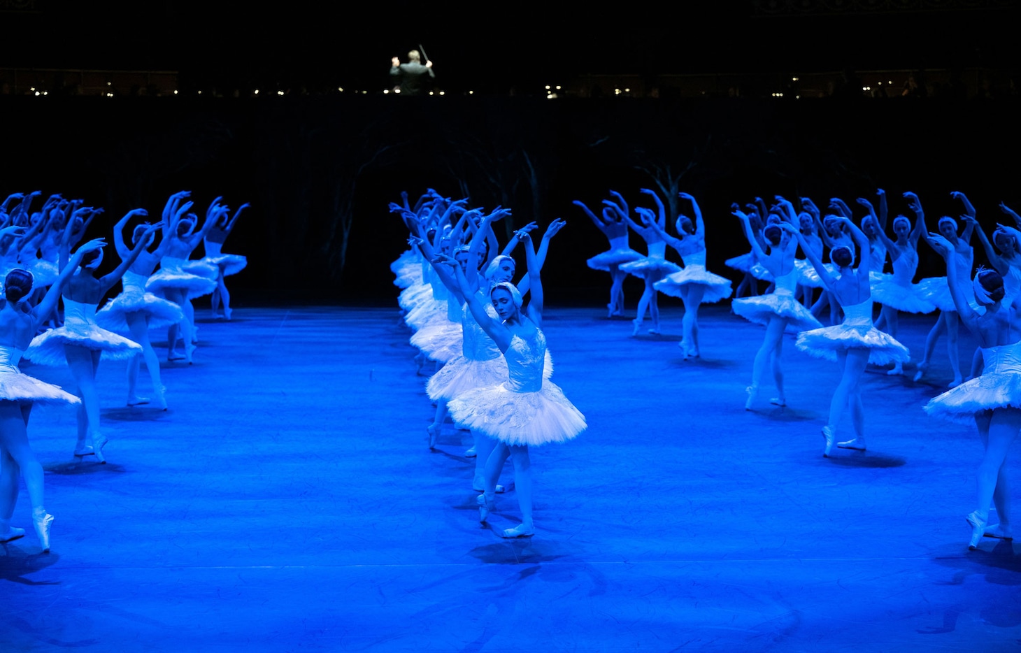 イングリッシュ・ナショナル・バレエ団「白鳥の湖」場面写真 Image(s) courtesy of English National Ballet. ©︎ Laurent Liotardo