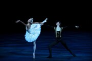 イングリッシュ・ナショナル・バレエ団「白鳥の湖」場面写真 Image(s) courtesy of English National Ballet. ©︎ Laurent Liotardo