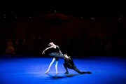 イングリッシュ・ナショナル・バレエ団「白鳥の湖」場面写真 Image(s) courtesy of English National Ballet. ©︎ Laurent Liotardo