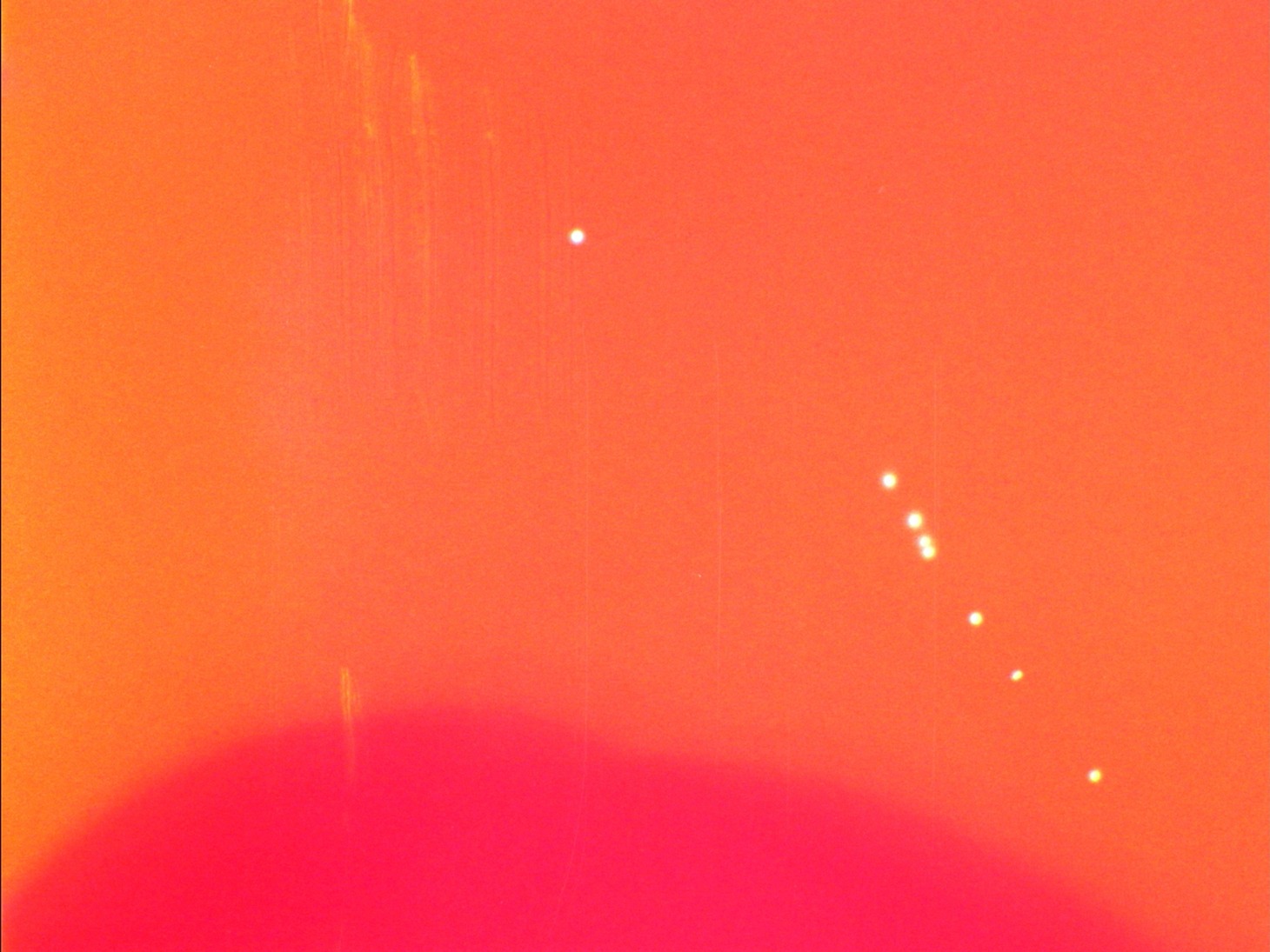 「13」場面写真