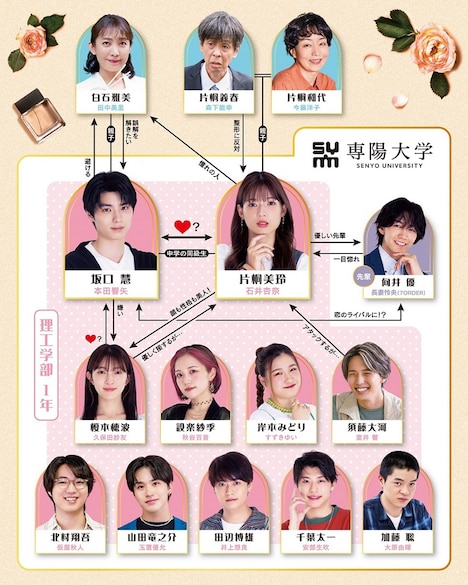 「私は整形美人」相関図