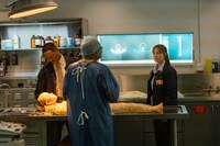 「ロングレッグス」場面写真