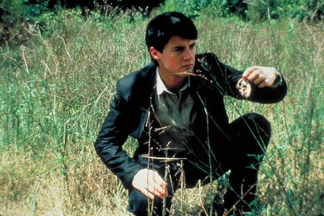 「ブルーベルベット 4Kリマスター版」場面写真