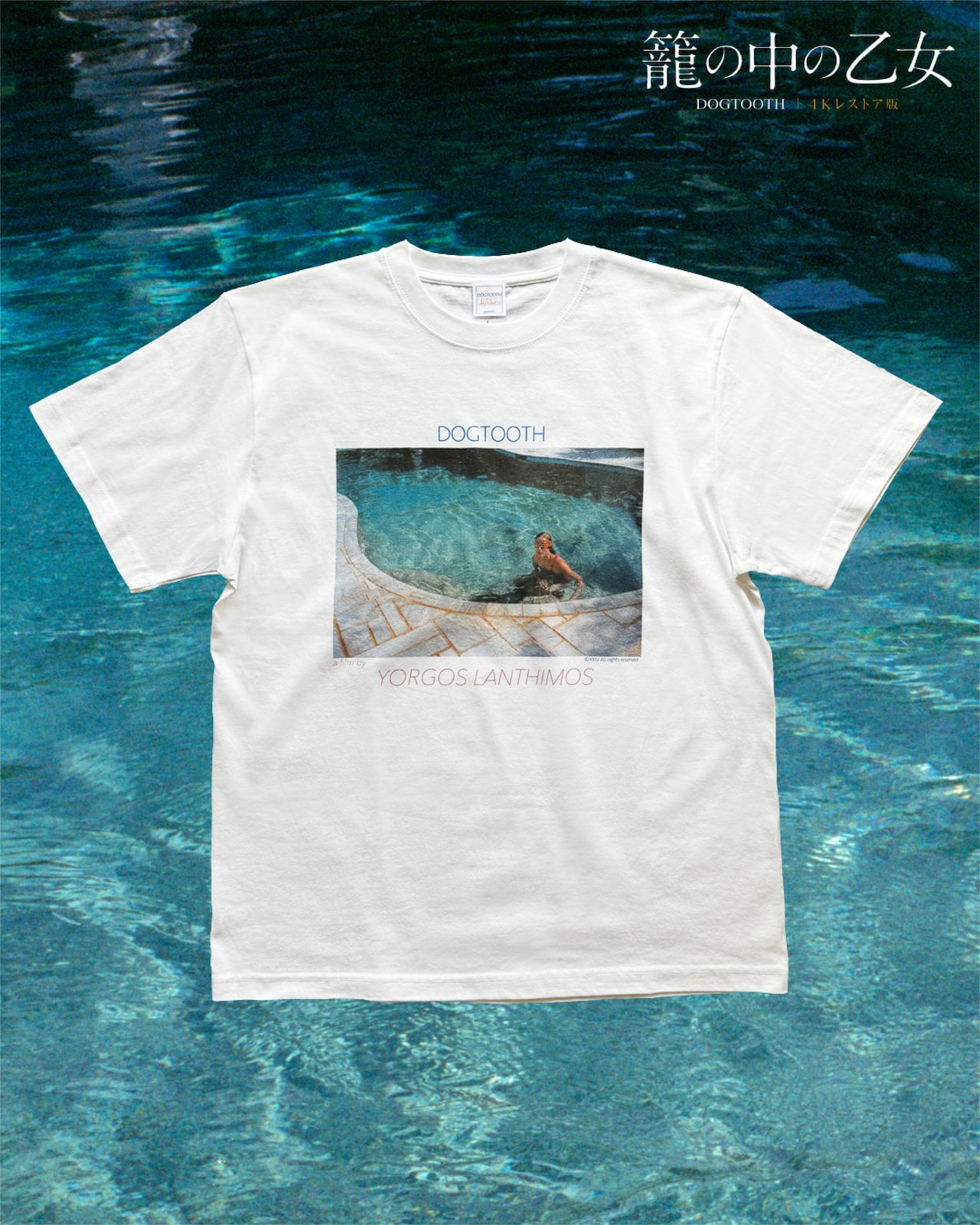 「籠の中の乙女」4Kレストア版の公開記念、SisterとのコラボTシャツが数量限定で発売