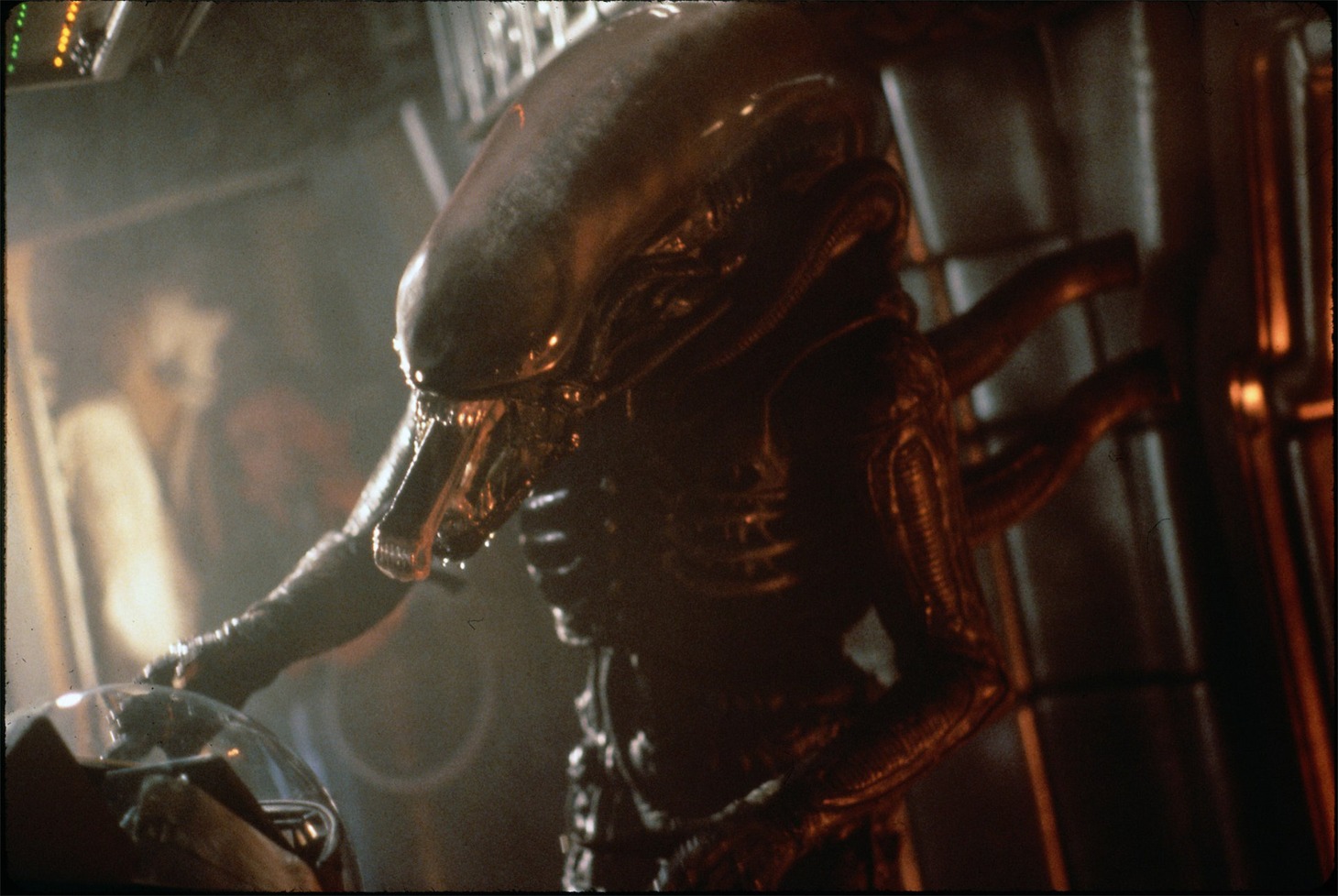 「エイリアン」場面写真 ©1979 Twentieth Century Fox Film Corporation. All rights reserved.