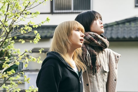 映画「ネムルバカ」より