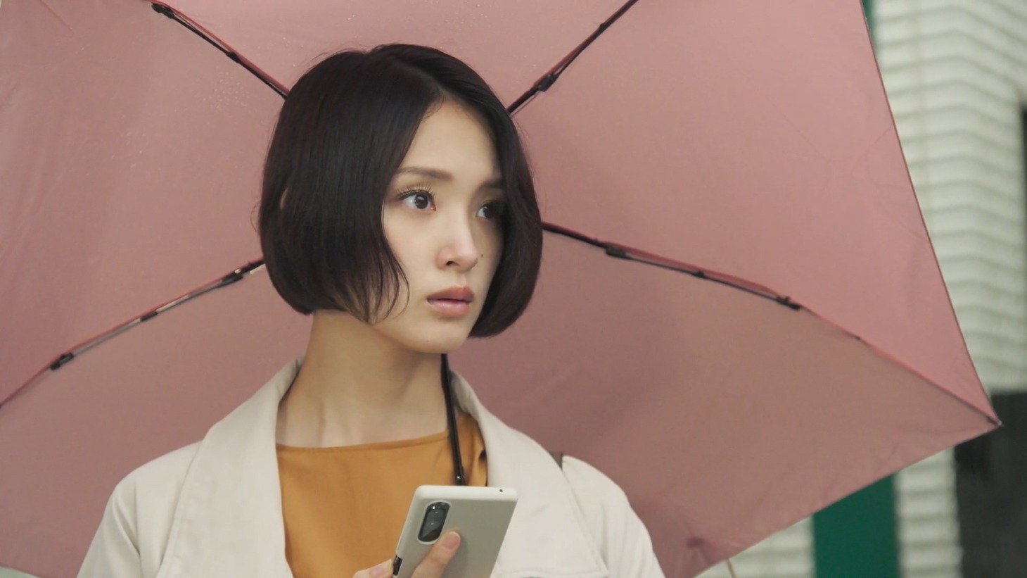 「S区の奇妙な人々」場面写真