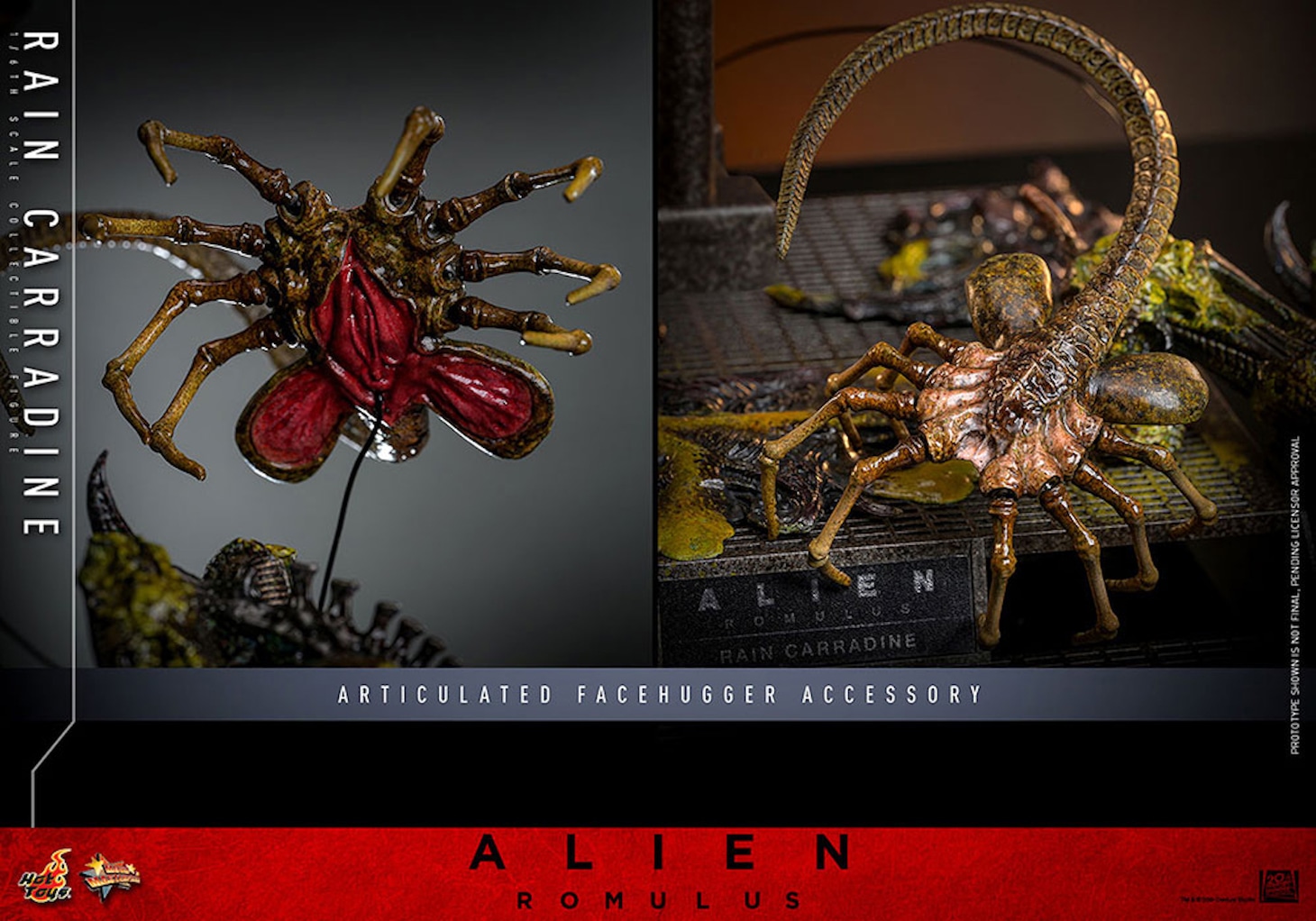 【ムービー・マスターピース DX】「エイリアン：ロムルス」1/6スケールフィギュア レイン・キャラディン
