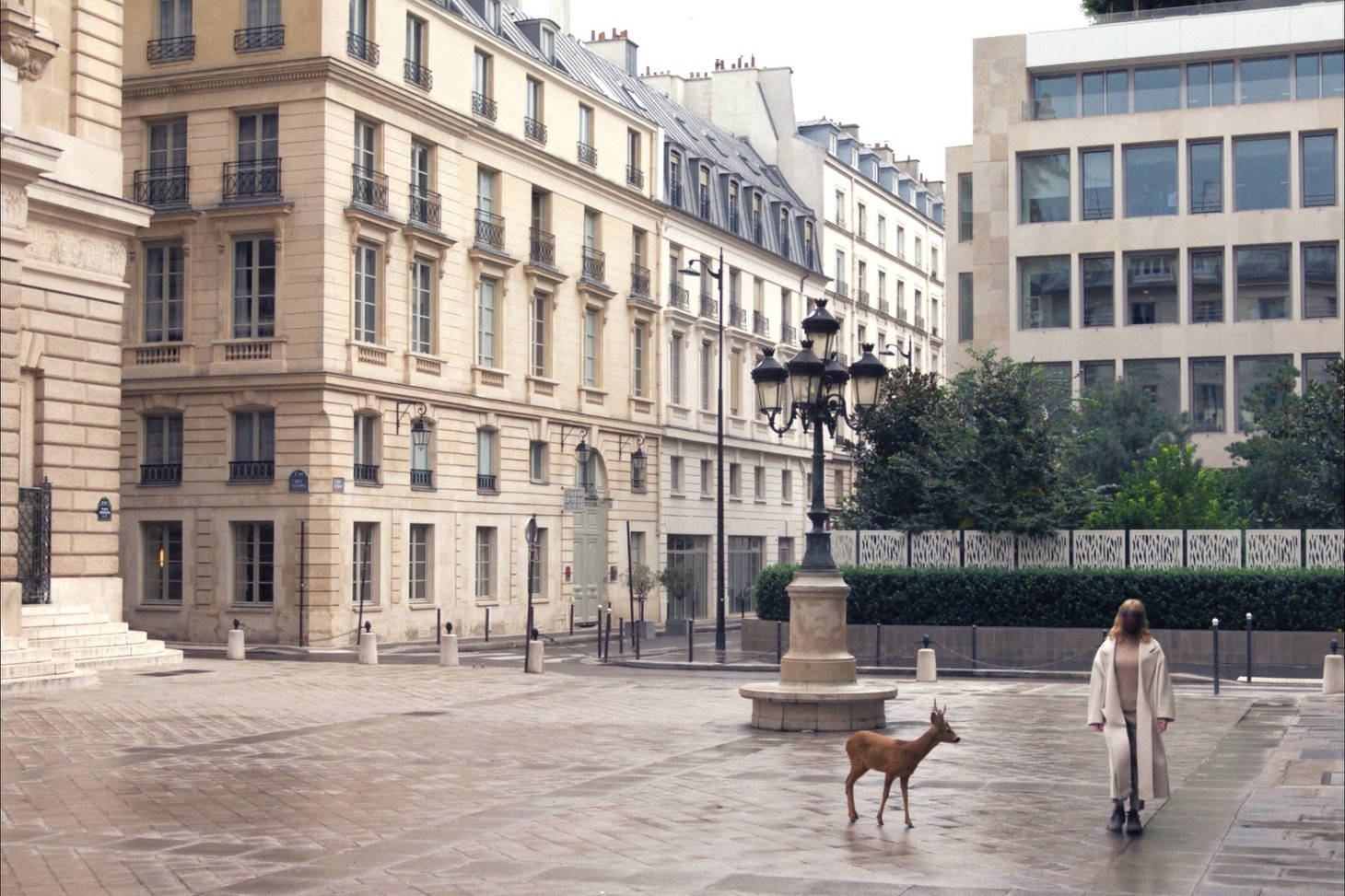 「けものがいる」場面写真 © FILM :  2022 - LES FILMS DU BÉLIER - MY NEW PICTURE - 9459-5154 QUÉBEC INC. - ARTE FRANCE CINÉMA - AMI PARIS - JAMAL ZEINAL-ZADE