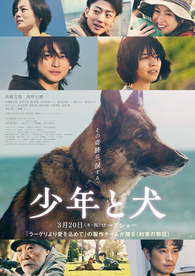 「映画 少年と犬」ポスタービジュアル