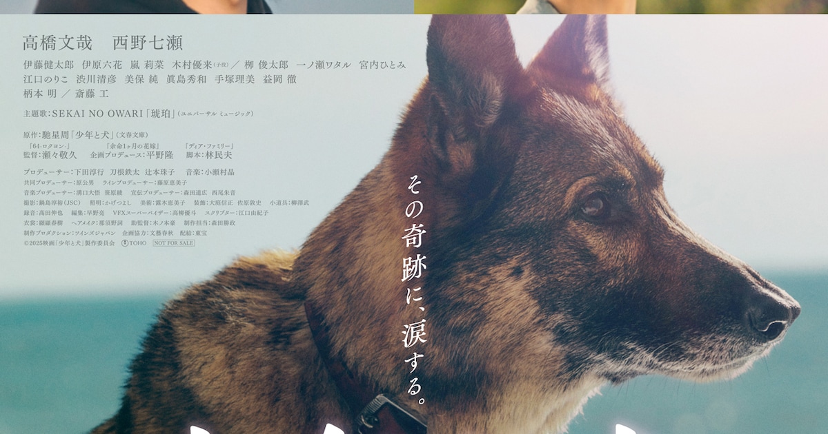 高橋文哉×西野七瀬の映画「少年と犬」主題歌はSEKAI NO OWARI、亡き友人との共作(コメントあり)