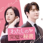 ハン・ジミン×イ・ジュニョクの韓国ロマンス「わたしの完璧な秘書」Leminoで本日配信