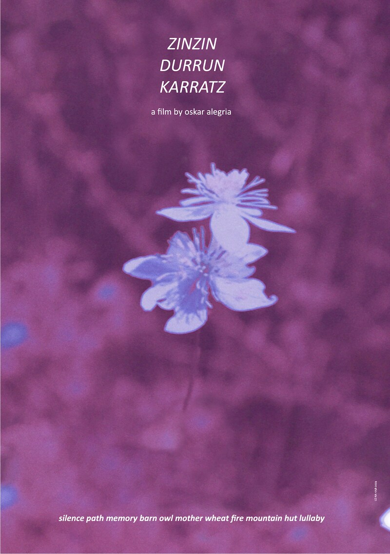 「シンシンドゥルンカラッツ」ポスタービジュアル