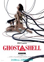 「GHOST IN THE SHELL/攻殻機動隊 4Kリマスター版」ポスタービジュアル