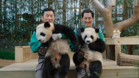 「私の親愛なるフーバオ」場面写真