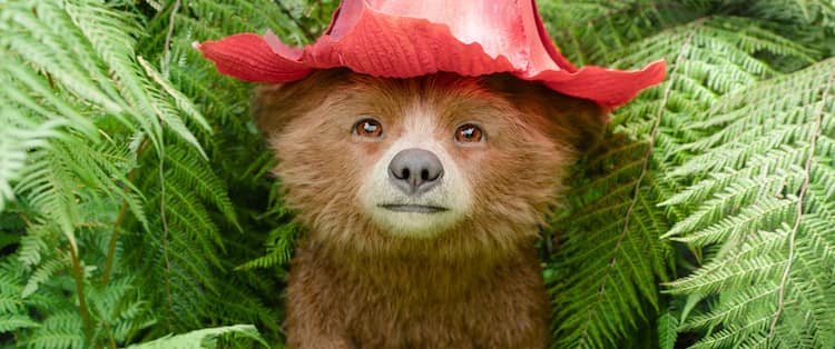 映画「パディントン」紳士なクマのぽやぽや子供時代お披露目、なぜか 
