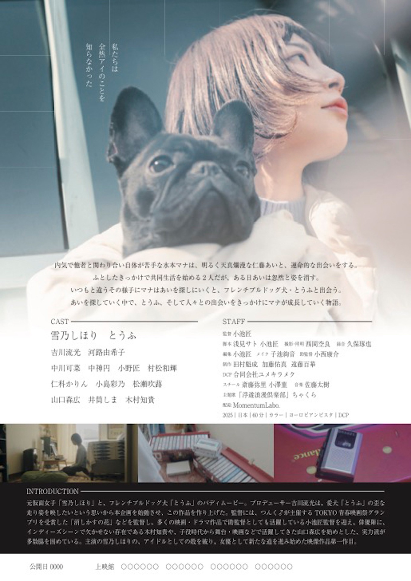 「アイチェルカーレ」チラシ裏