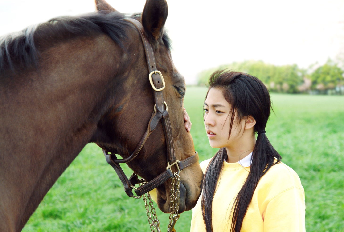 「三本木農業高校、馬術部～盲目の馬と少女の実話～」©2008『三本木農業高校、馬術部』製作委員会