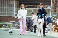 韓国ドラマ「ワンダフルデイズ」U-NEXTで独占配信中 (c)2023 Lifetime & Group8