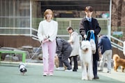 韓国ドラマ「ワンダフルデイズ」U-NEXTで独占配信中 (c)2023 Lifetime & Group8