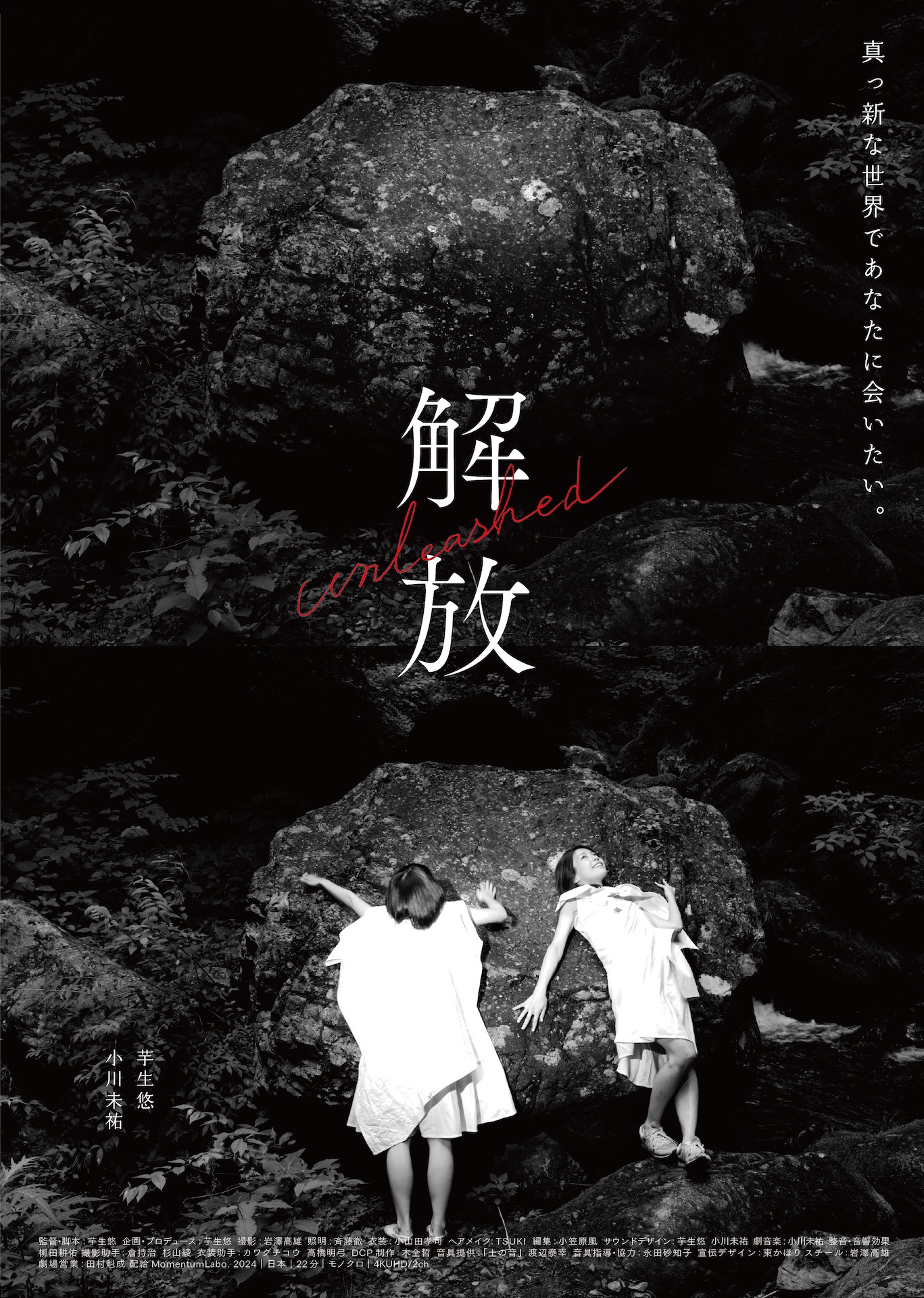 映画「解放」ポスタービジュアル