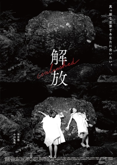 映画「解放」ポスタービジュアル