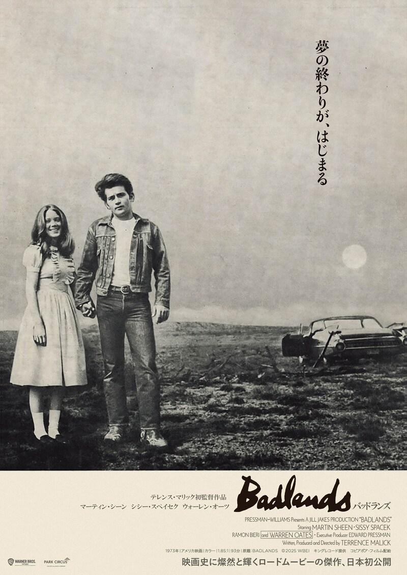 「バッドランズ」第2弾ビジュアル