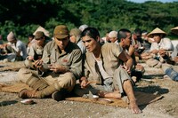 「木の上の軍隊」場面写真