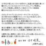 田中晴菜のコメント画像