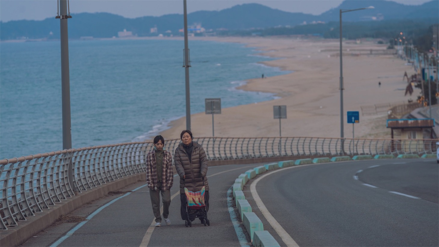 「朝の海、カモメは」場面写真