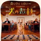 被告人ならぬ“被告犬”をめぐるフランスの法廷コメディ「犬の裁判」初夏公開