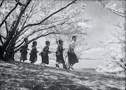 「二十四の瞳」場面写真 ©1954 松竹株式会社