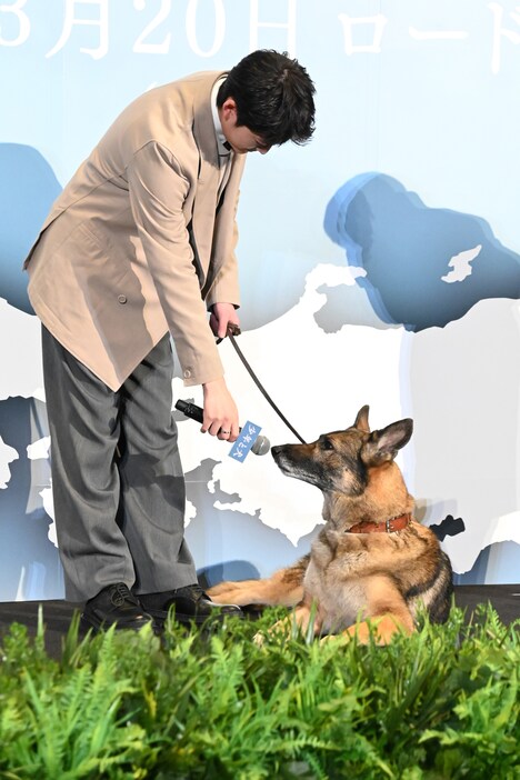 さくらにインタビューする高橋文哉