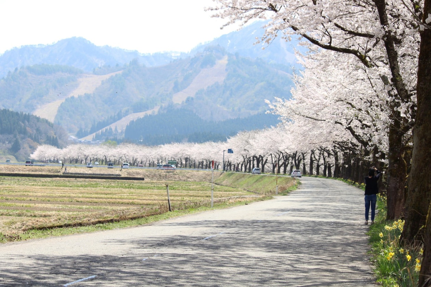 新潟県胎内市の風景