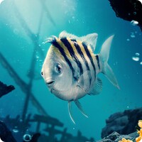 「リトル・マーメイド」より、フランダー ©2025 Disney