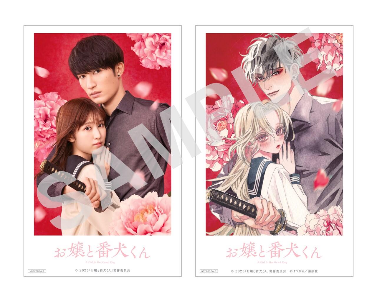SixTONES バリア 三形態 3形態 CD DVD お嬢と番犬くん 映画特典 ﾊﾞﾘｱ(3形態ｾｯﾄ)・SixTONES | Sony Music Shop・CD・DVD・ﾌﾞﾙｰﾚｲ