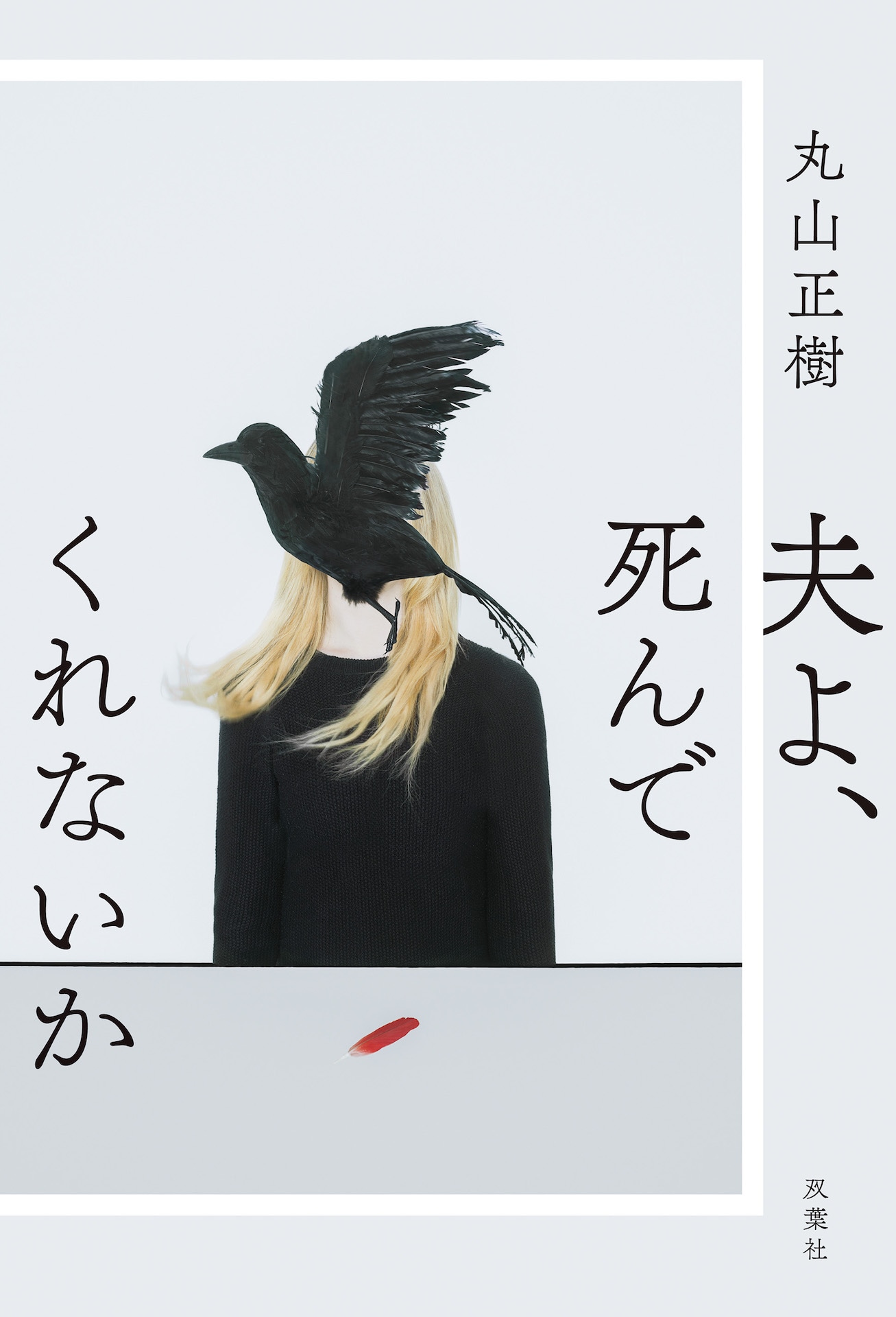 「夫よ、死んでくれないか」書影 ©丸山正樹／双葉社