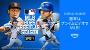 「MLB レギュラーシーズン」告知ビジュアル
