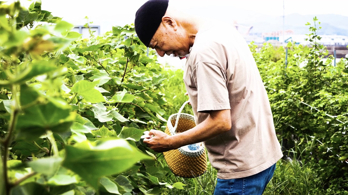 「わたのまち、応答セヨ」場面写真