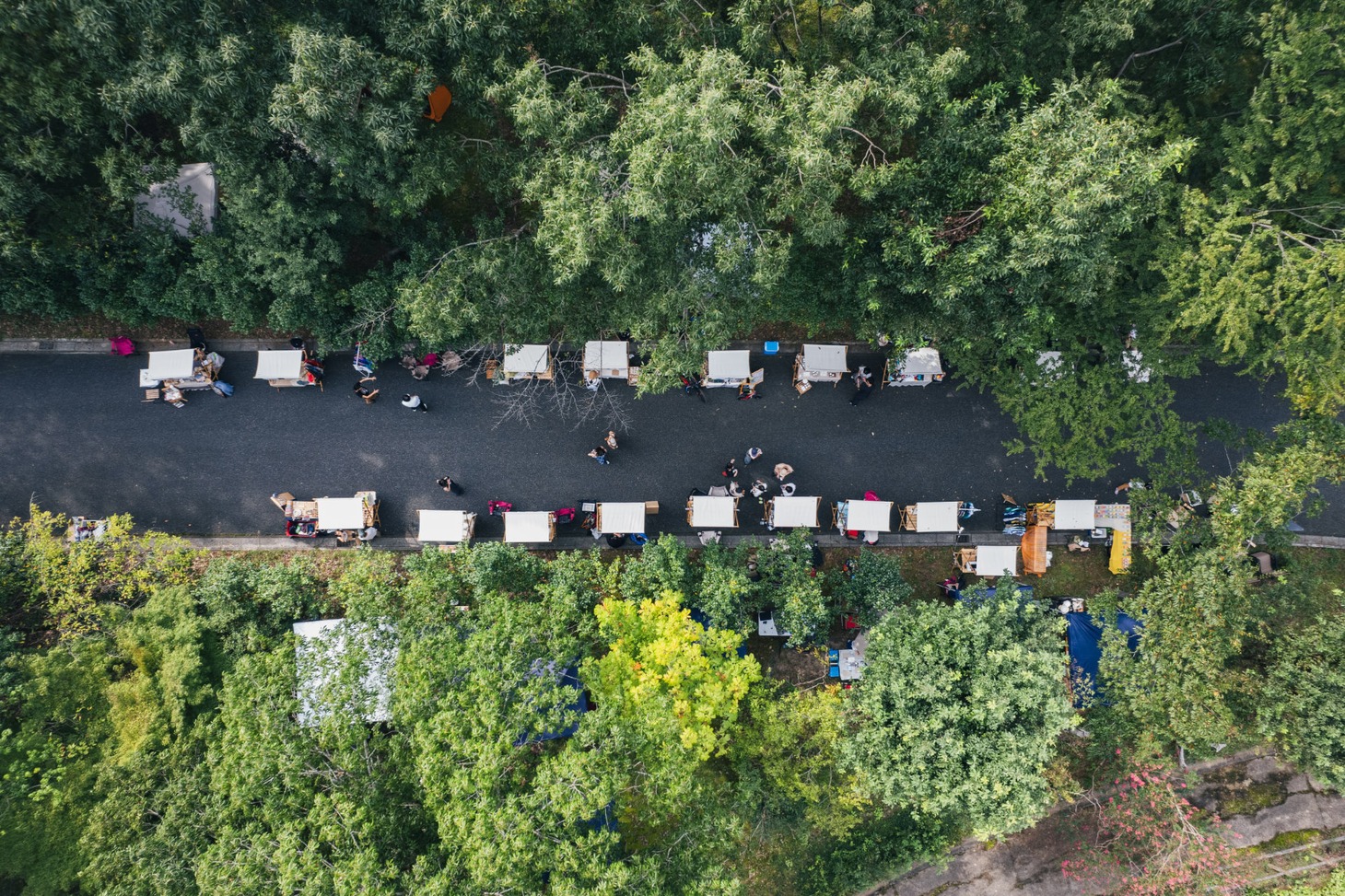 泊まれる公園 INN THE PARK 沼津