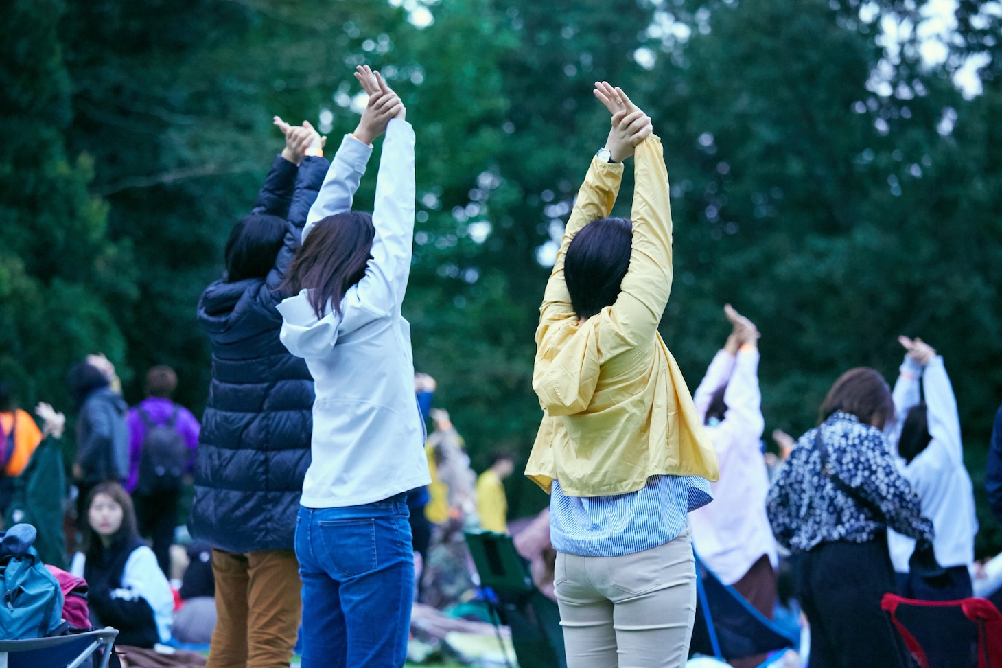「丘の向こうに森の映画祭」のイメージビジュアル